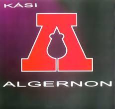 Kási - Algernon