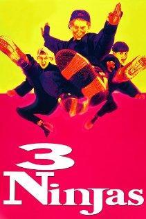 Három kicsi nindzsa (3 Ninjas)