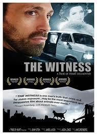 The Witness - műsorok (angolul)
