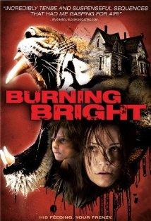 A Tigris szemében /Burning Bright/ (2010)