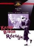 Kairó bíbor rózsája (The Purple Rose of Cairo)