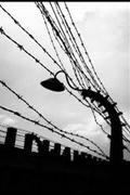 KL Auschwitz