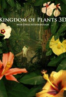 A növények birodalma (Kingdom of Plants 3D)