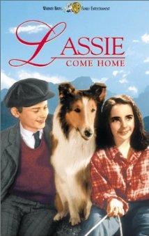 Lassie hazatér (Lassie Come Home)