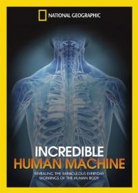 Lenyűgöző gépezet - A működő emberi test (Incredible Human Machine)
