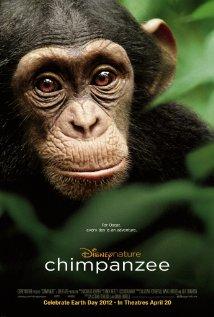 Oscar, a csimpánz (Chimpanzee)