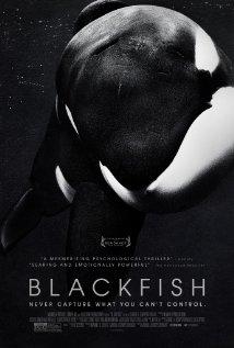 Blackfish - Egy kardszárnyú delfin története (Blackfish)