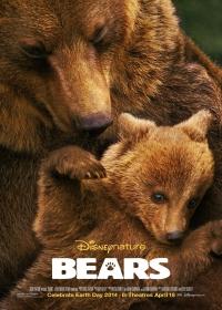 Medvék (Bears) 2014.