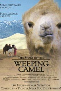 A pityergő teve története (Die Geschichte vom weinenden Kamel)