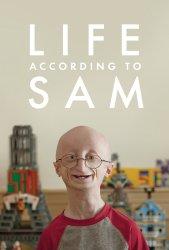 Sam szerint az élet (Life According to Sam)