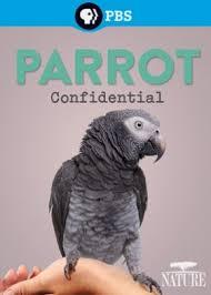 A papagájok titkai (Parrot Confidential)