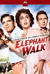 Elefántjárat (Elephant Walk)