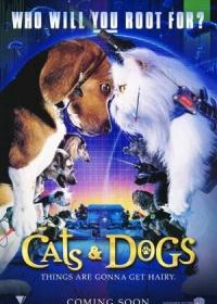 Kutyák és macskák (Cats & Dogs)