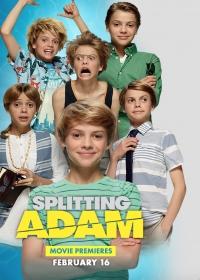 Adam és Adam (Splitting Adam.2015)