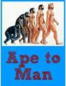 A majomtól az emberig /Ape to Man/
