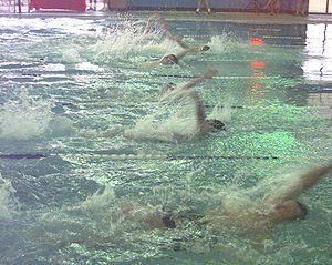 Sport-Úszás-Vizilabda