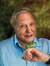 David Attenborough: Mentsük meg együtt a világot
