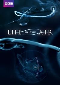 Élet a levegőben (Life in the Air)