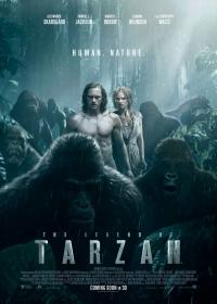 Tarzan legendája (The Legend of Tarzan)