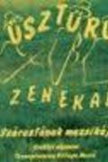 Üsztürü Zenekar Chicagoban, junius 2010