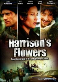 A felejtés virágai /Harrison's Flowers/