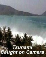 Szökőár a kamerák előtt (Tsunami: Caught on Camera)