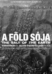 A föld sója (The Salt of the Earth) 2014.