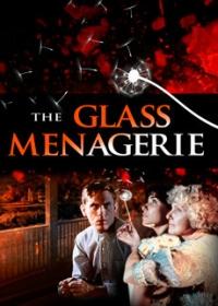 Üvegfigurák /The Glass Menagerie/
