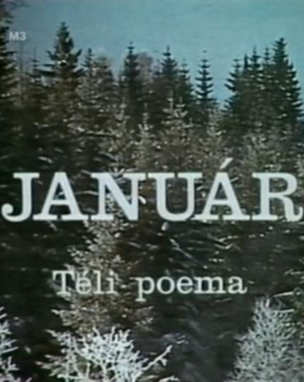 Január (1978)