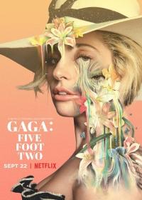 Gaga: Five Foot Two ( 2017 )