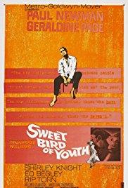 Az ifjúság édes madara /Sweet Bird of Youth/ 1962.
