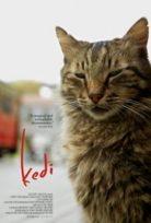 Kedi - Isztambul macskái /Kedi/