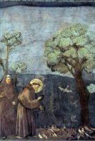 Giotto és Assisi Szent Ferenc /Francesco d'Assisi - Gli affreschi della Basilica Superiore/