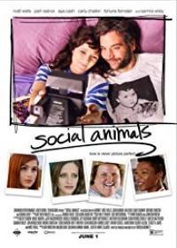 Káoszbrigád (Social Animals) 2018.