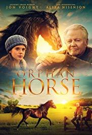 Árva ló (Orphan Horse) 2018.
