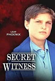 A szemtanú (Secret Witness)