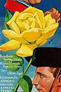 Sárga rózsa (1968)
