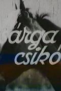 Sárga csikó